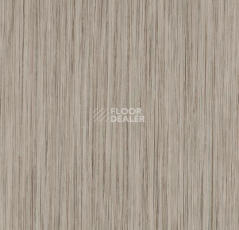 Линолеум Forbo Sarlon Wood 19dB 121T4319 grey linea фото 1 | FLOORDEALER